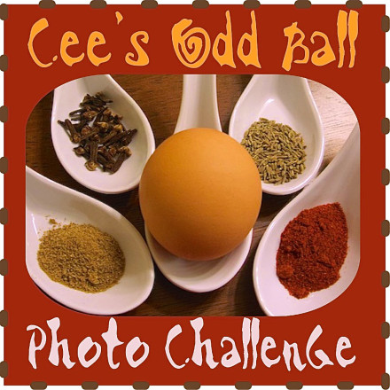 cee-photography-odd-ball-photo-challenge