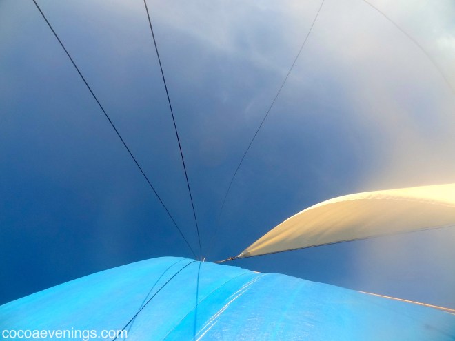 looking up at the sail and sky