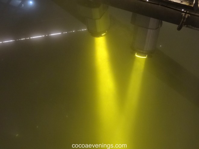 two beams of intense yellow light DSC06407