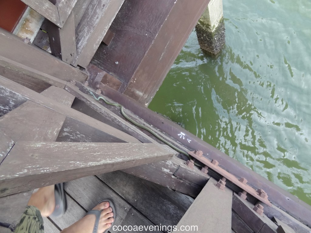 You Have Always Been&nbsp;There