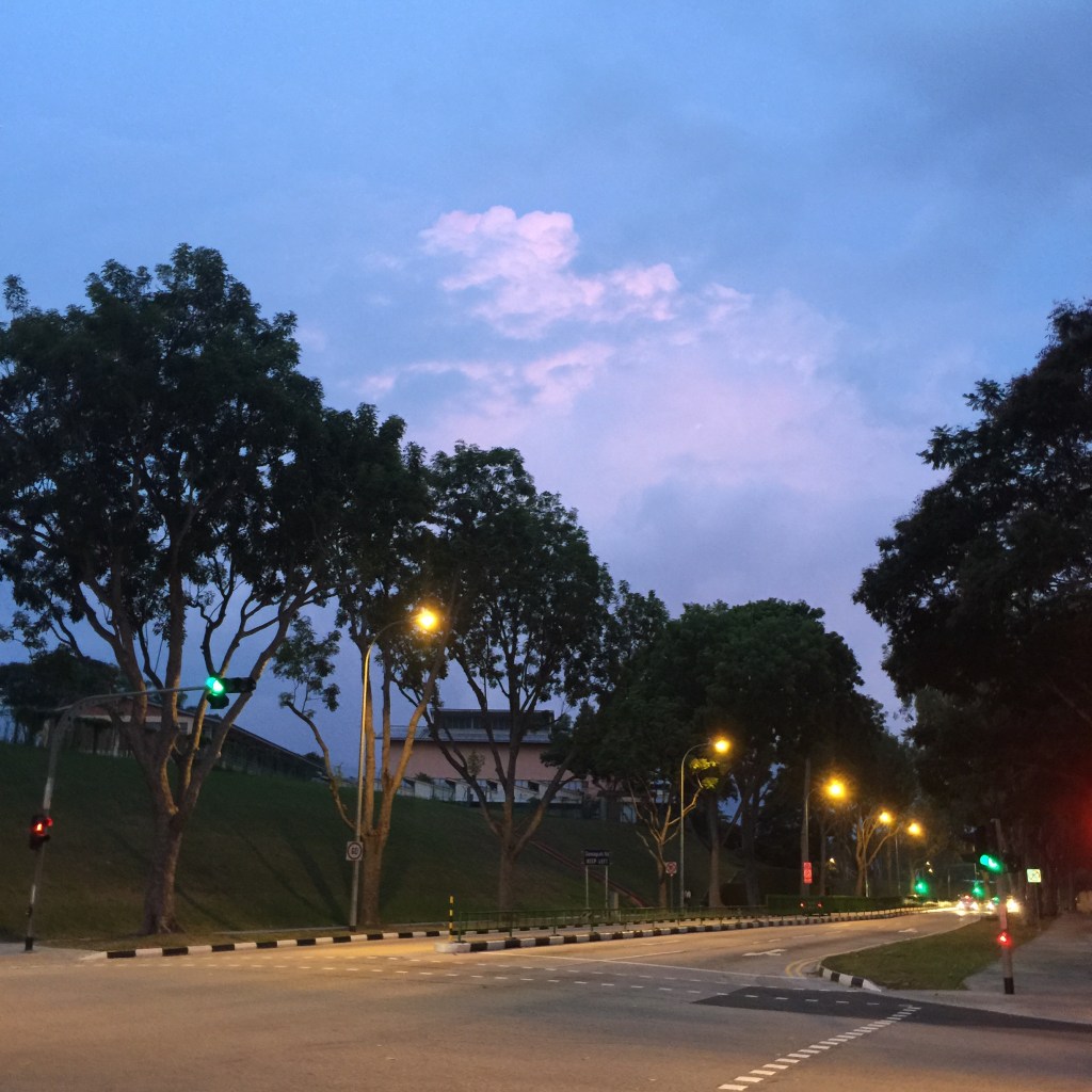 Cee’s Which Way Challenge: 2015 Week #27 – Invitation from the Pink Clouds