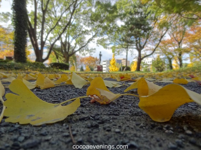 fallen autumn leaves in nagoya japan