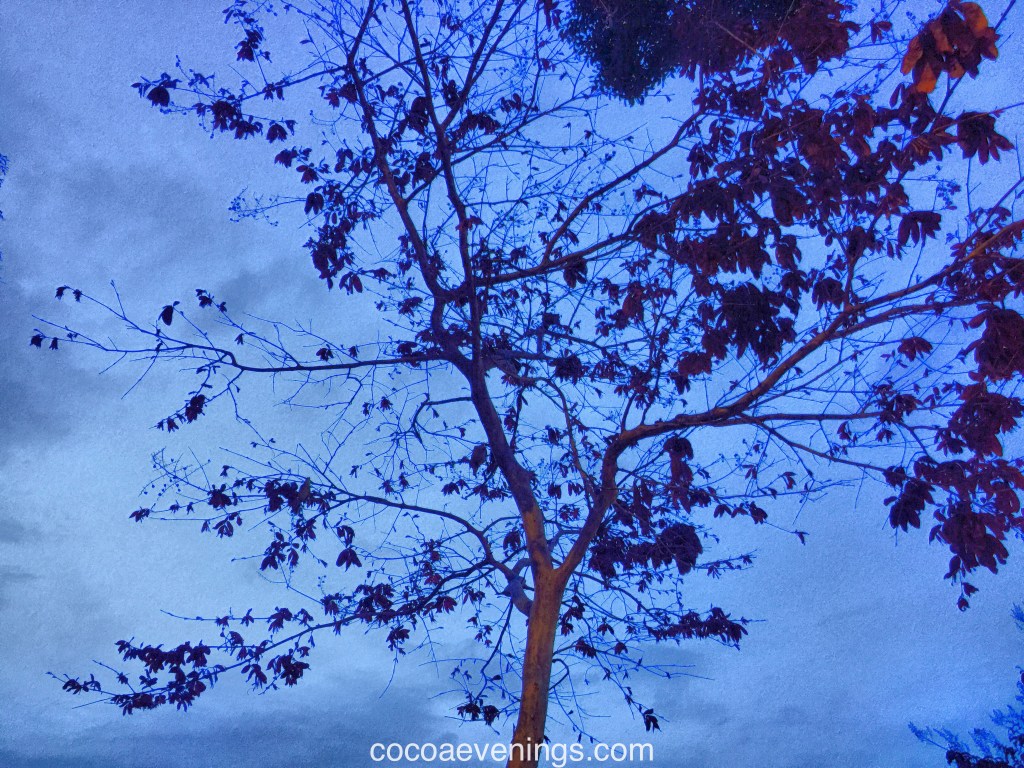 2015 July Readings Roundup Part&nbsp;1