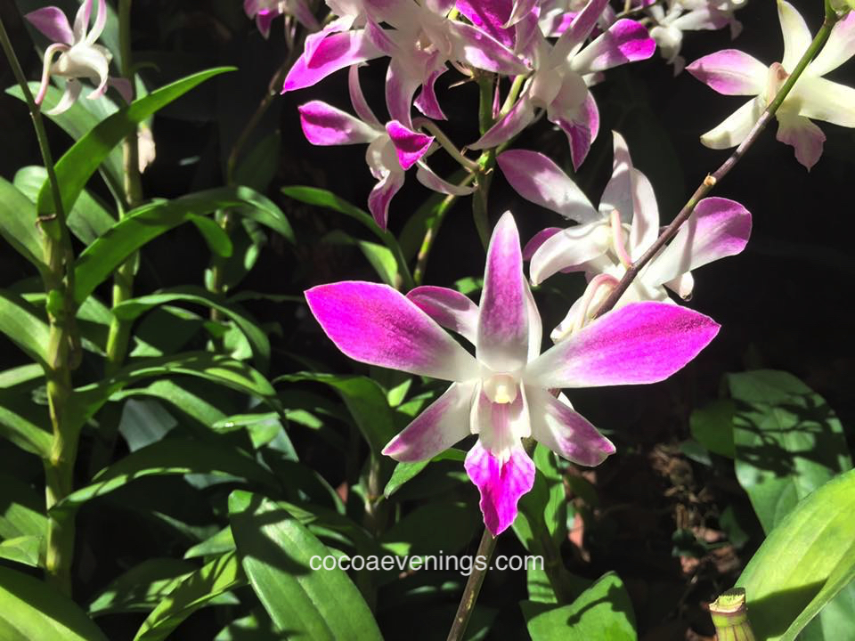 Share Your World – 2015 Week&nbsp;#49