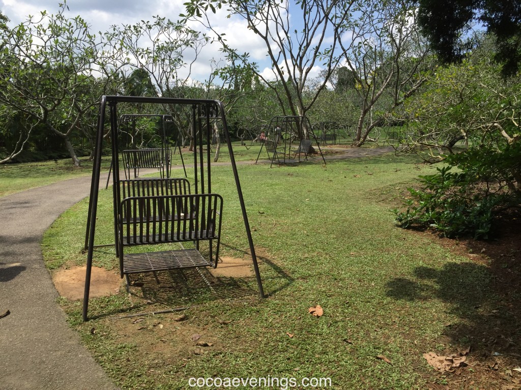 Share Your World – 2015 Week&nbsp;#51