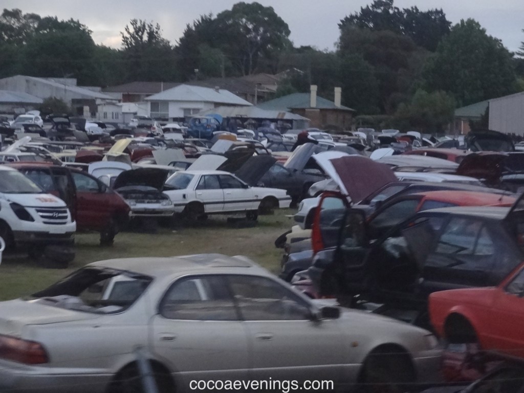 The Unwanted Often Flock&nbsp;Together