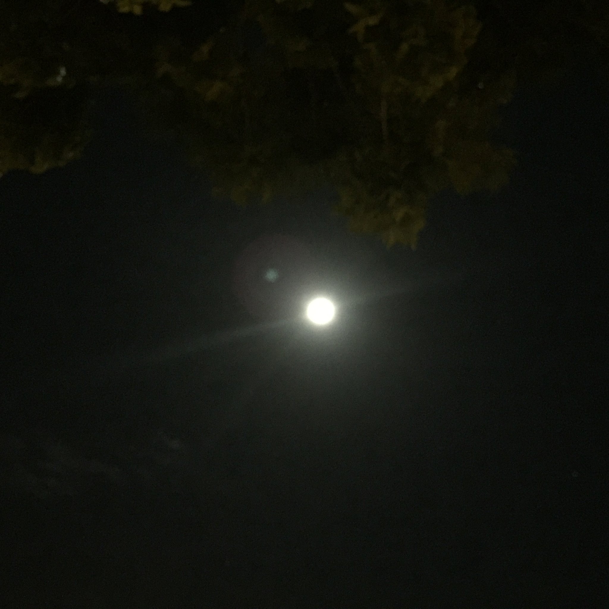 full-moon-christmas-day-2015