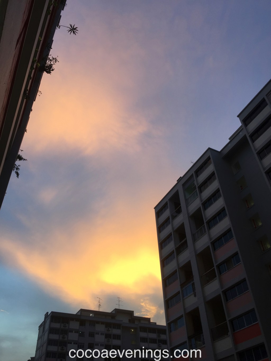 Share Your World – 2015 Week&nbsp;#52